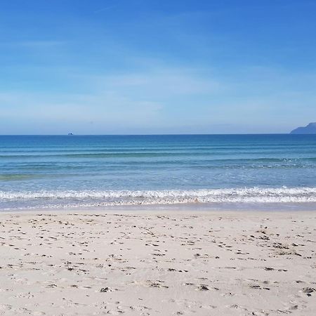 Ideal Property Mallorca - Blue Palm Beach Alcudia  Zewnętrze zdjęcie